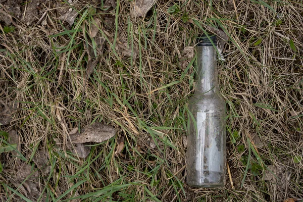 Bouteille Verre Jetée Sur Herbe Sèche Quelques Tiges Herbe Verte — Photo