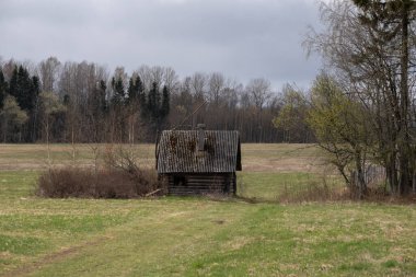 Tarlanın ortasında küçük bir saunası olan gri bahar manzarası