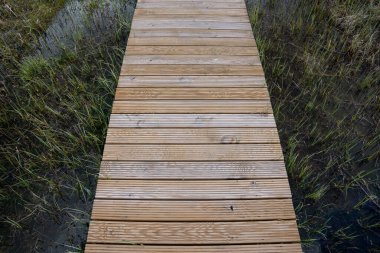 Sazlıkların arasındaki gölde bir tahta oğlanın yaya köprüsü kurulmuş.