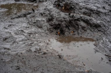 Orman açıklığı, her yerde büyük siyah çamurda bir orman traktörü tarafından basılıyor.