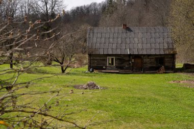 bahar yeşil manzarası ile eski siyah ahşap bir ev