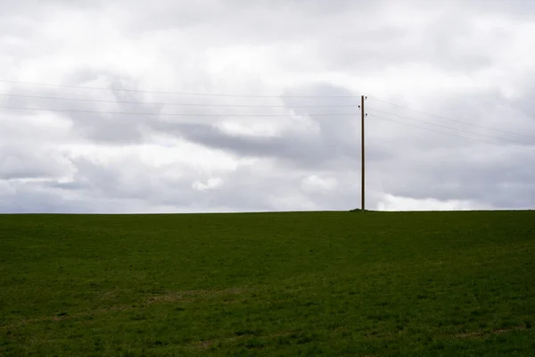 Große Grüne Getreidefeld Landschaft Mit Strommasten Und Drähten — Stockfoto