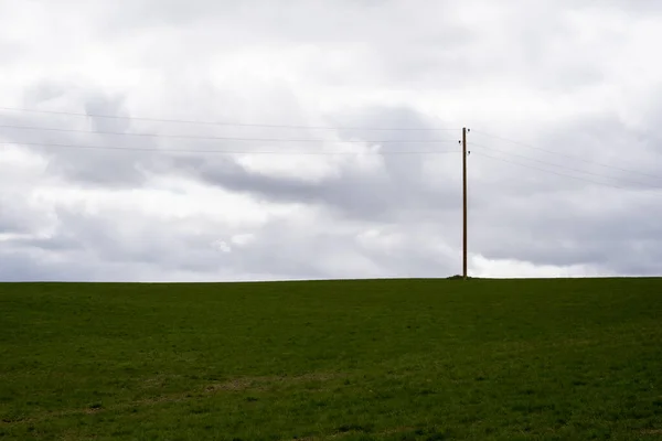 带电线杆的大型绿色麦田景观 — 图库照片