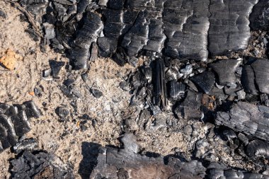 Kamp ateşinden arta kalan kömür siyah ve aralarında kül var.