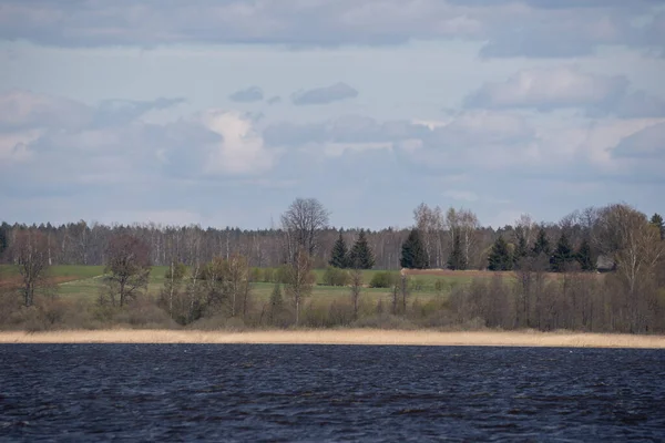 Lake Early Spring Dark Blue Water Shore Dry Reeds Which — Stock Photo, Image