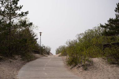 a wooden boardwalk leading through the dunes of the seashore, where lanterns are placed along the edge and small pines grow