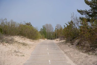 a wooden boardwalk leading through the dunes of the seashore, where lanterns are placed along the edge and small pines grow