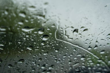 Yağmur damlalarıyla kaplı bir pencere ilginç bir desen oluşturur ve arkalarında sisli bir manzara görebilirsiniz.