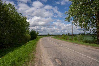 Ağaçların ve yeşil çalıların büyüdüğü eski bir asfalt yolda güzel bir viraj.