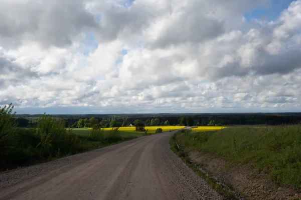 Kumlu kayalık kır yolu. Kenarlarında yeşil çimenler ve sarı tecavüz çiçekleri var. Gökyüzü mavi ve tüylü bulutlar var.