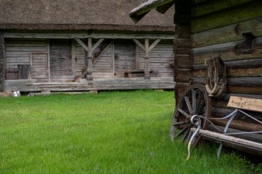 Letonya 'nın kuzeyinde sazdan çatıları ve yeşil otları olan eski bir ağaç evi.