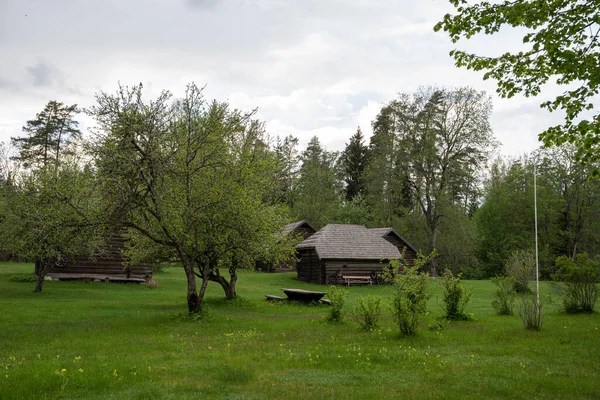Ein Altes Baumhaus Norden Lettlands Mit Reetdächern Und Grünem Gras — Stockfoto