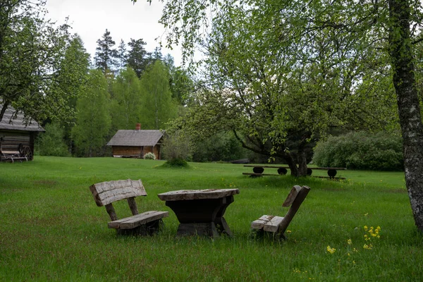 Gammal Trädkoja Norra Lettland Med Halmtak Och Grönt Gräs — Stockfoto