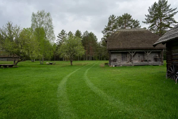 Ein Altes Baumhaus Norden Lettlands Mit Reetdächern Und Grünem Gras — Stockfoto