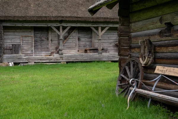 Letonya 'nın kuzeyinde sazdan çatıları ve yeşil otları olan eski bir ağaç evi.