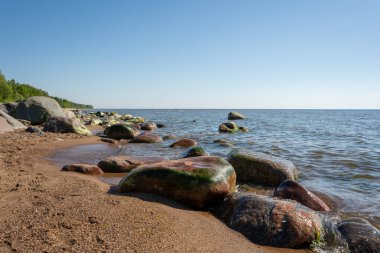 Baltık Denizi 'nde kıyılarda büyük ıslak kayalar var.