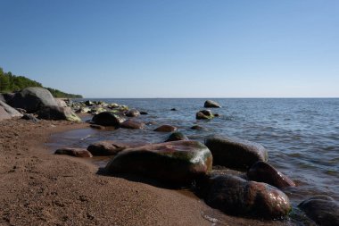 Baltık Denizi 'nde kıyılarda büyük ıslak kayalar var.