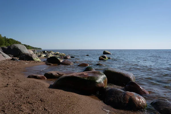 Nel Mar Baltico Cui Affacciano Grandi Rocce Bagnate — Foto Stock