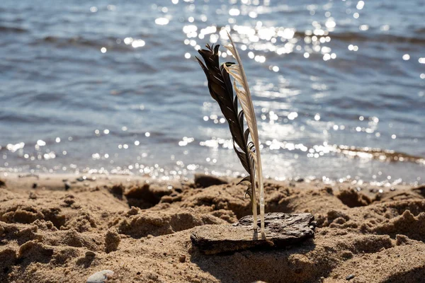 海滨沙滩上的沙子 在那里 玩具船是用松树树皮和羽毛做成的 站在海边 — 图库照片