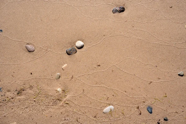 Spiaggia Bagnata Sulle Rive Del Mar Baltico Hanno Ciottoli Diversi — Foto Stock