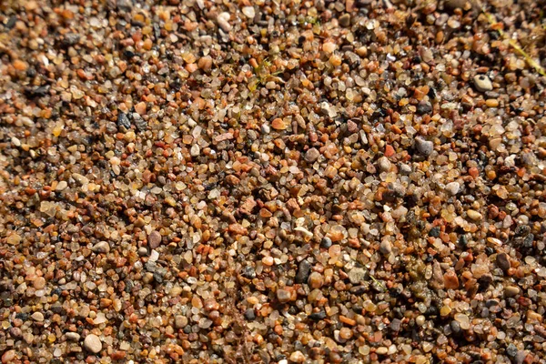 Las Orillas Del Mar Báltico Hay Piedras Diferentes Colores Que — Foto de Stock