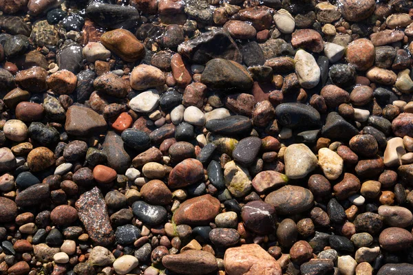 バルト海沿岸にはさまざまな色の石があり 互いに美しい模様を形成しています — ストック写真