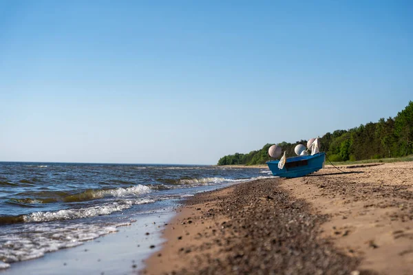 Baltské Moře Pláž Jasnou Oblohou Zelené Stromy Břehu Ale Malý — Stock fotografie