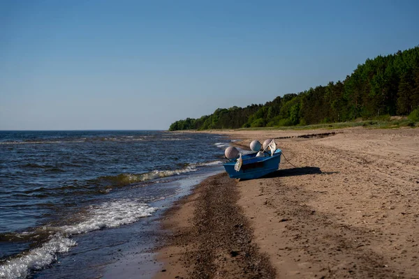 Spiaggia Del Mar Baltico Con Cieli Limpidi Alberi Verdi Sulla — Foto Stock