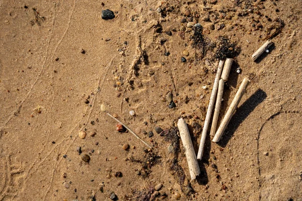 Primo Piano Della Costa Sabbiosa Del Mar Baltico Con Vari — Foto Stock