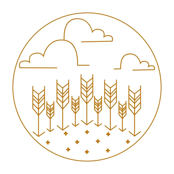  Buğday Ears.Vector doğa logolar ve Amblemler.