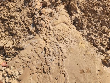 Toprak ekimi için kullanılan örnekler.