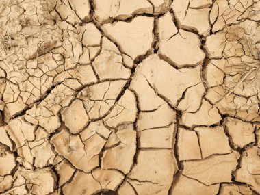 Toprak ekimi için kullanılan örnekler.