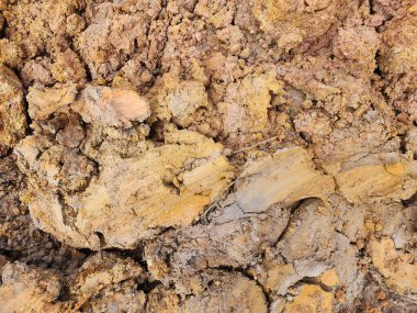 Toprak ekimi için kullanılan örnekler.