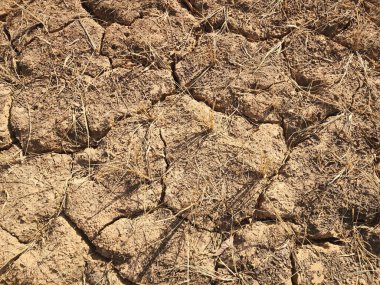 Toprak ekimi için kullanılan örnekler.