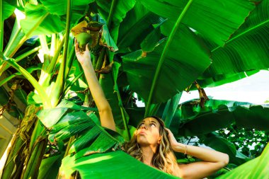 Vahşi doğada poz veren güzel sarışın kız. Tarz, güzellik, moda konsepti.