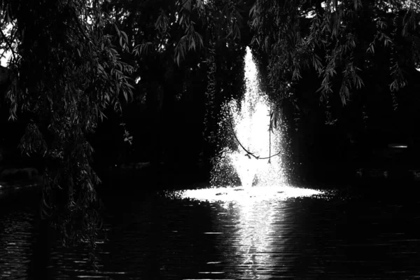 Fountain Public Park Danube Park Novi Sad Serbia Black White — Stock Photo, Image