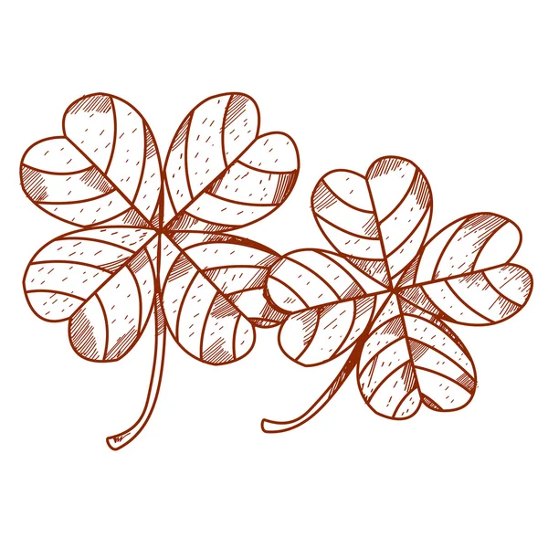 Trèfle à quatre feuilles. Attributs de St. Patrick . — Photo