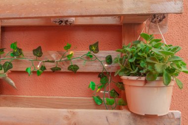 Dekoratif ahşap bir palette asılı duran kap.