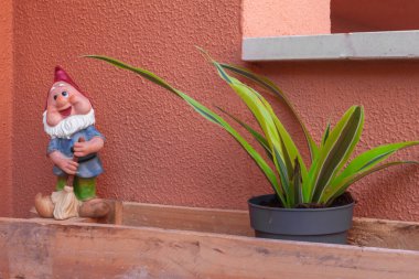 Saksı yeşili ve bahçe cücesi. Dekoratif konsept