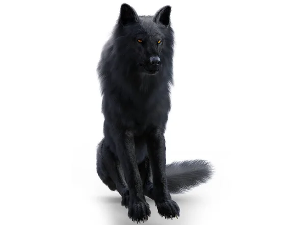 Black Wolf Render White Background — Stock Photo, Image