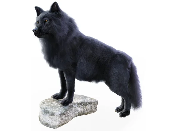 Black Wolf Render White Background — Stock Photo, Image