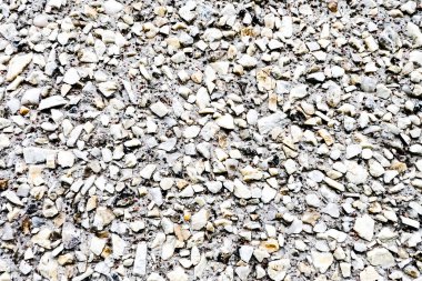 Kentsel konut duvarının aydınlık duvar ahşap arka planı. doku