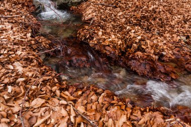 Dağ dere Monsenny Milli Parkı, Catalonia, İspanya  