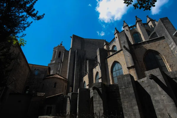 GIRONA, SPAGNA - MAGGIO 2016: Veduta di Girona - Cattedrale Gotica — Foto Stock