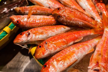 Palamos, Katalonya, Mayıs 2016: deniz ürünleri pazarı