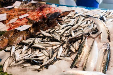 Palamos, Katalonya, Mayıs 2016: deniz ürünleri pazarı