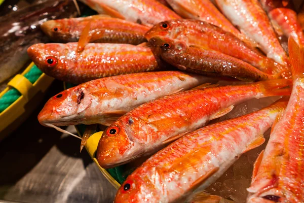 Palamos, Catalunha, maio de 2016: mercado de frutos do mar — Fotografia de Stock