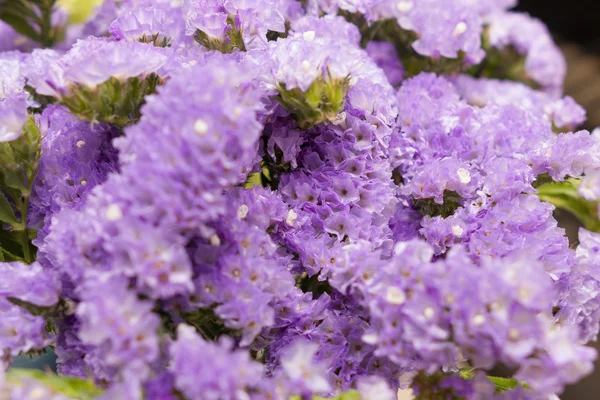 Blumen Strauß Tischdekoration — Stockfoto