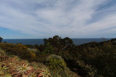 Çam ormanı ve Akdeniz kıyı ile dik yamaç 