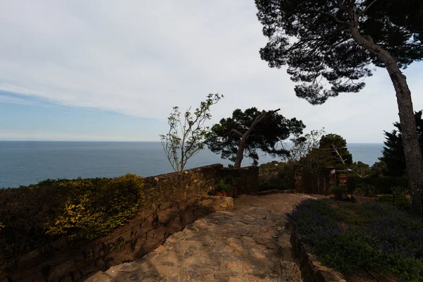 Çam ormanı ve Bizanslılar kıyı ile dik yamaçta yaya yolu